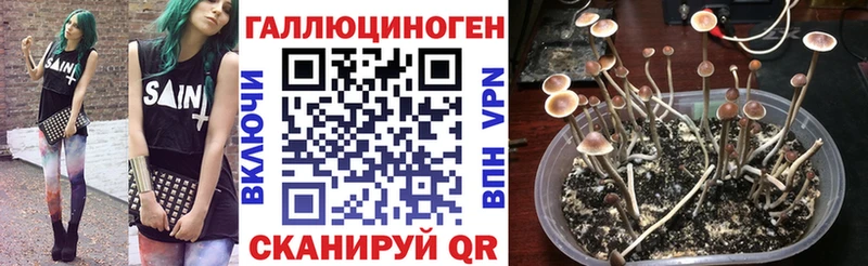 Псилоцибиновые грибы мицелий Мончегорск
