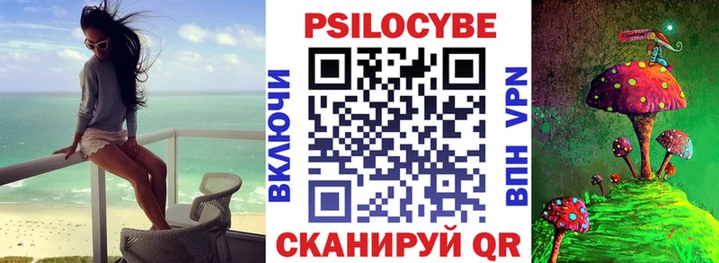 Псилоцибиновые грибы Cubensis  Мончегорск 